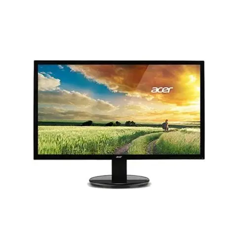 Acer 19.5